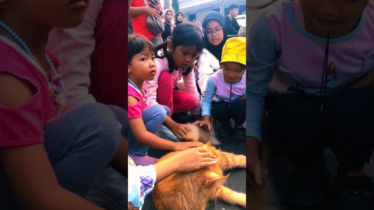 Cat free yeay part 2 