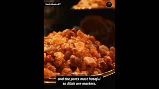 Which Part Of Land Does Allah Loves