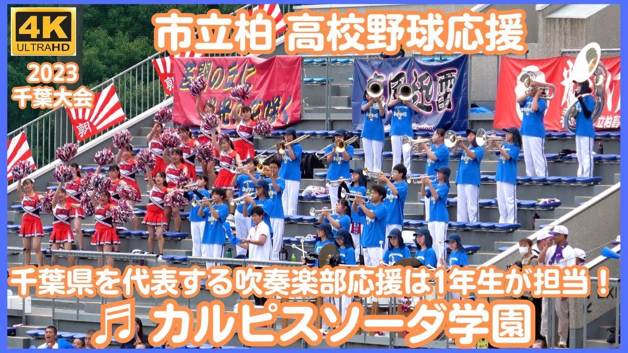 市立柏 高校野球応援 チャンテ「カルピスソーダ学園」と言えば吹SODA楽