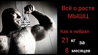 картинка: Как растут мышцы. Важная основа.