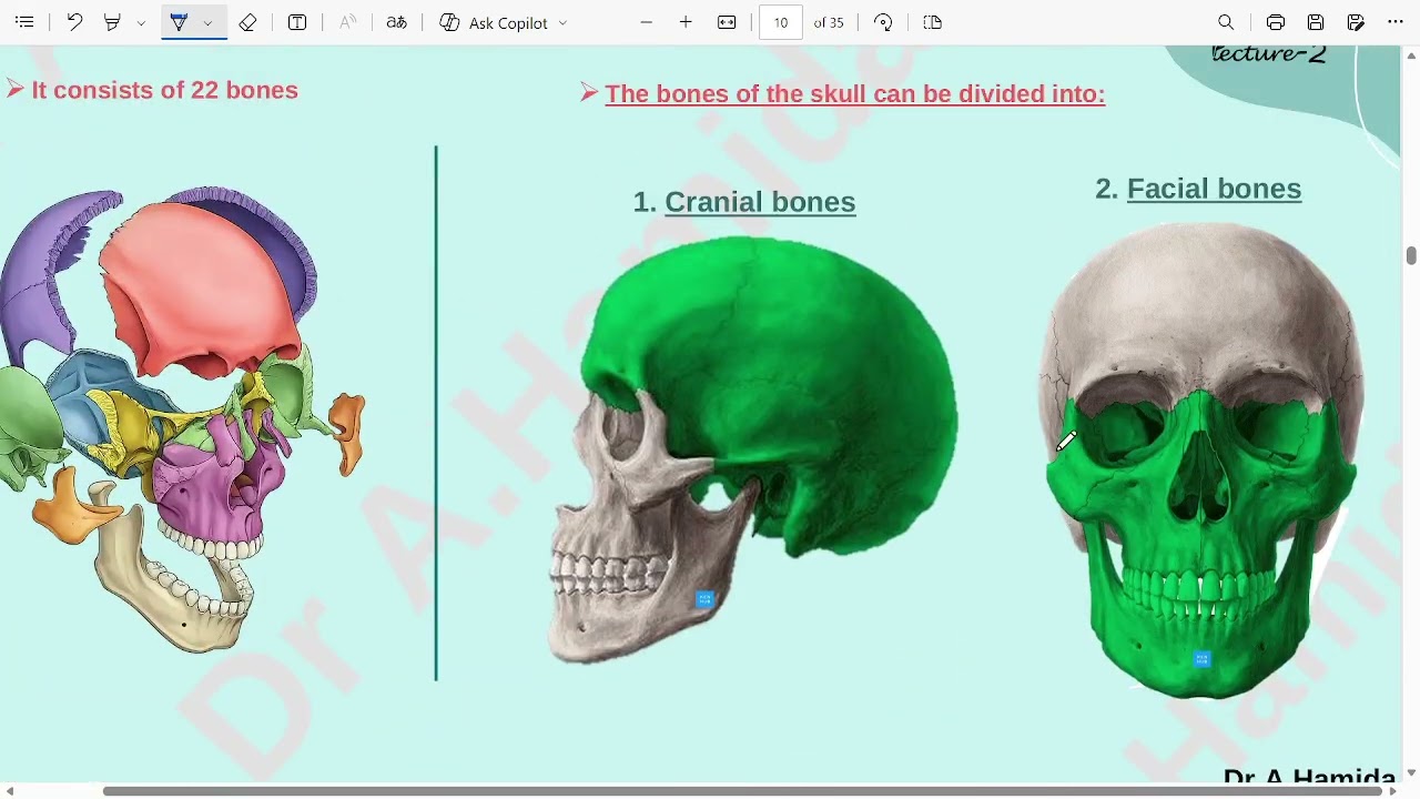 JU Anatomy - Lecture 2