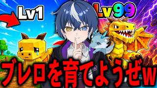 マップ調査隊　ブレロを育てるを始めます！！【フォートナイト/ブレインロット】