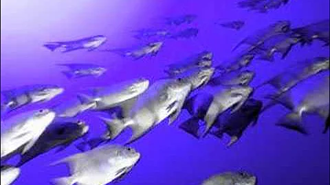 Bobby Brown - Two Can Play That Game (K-Klassic mix)