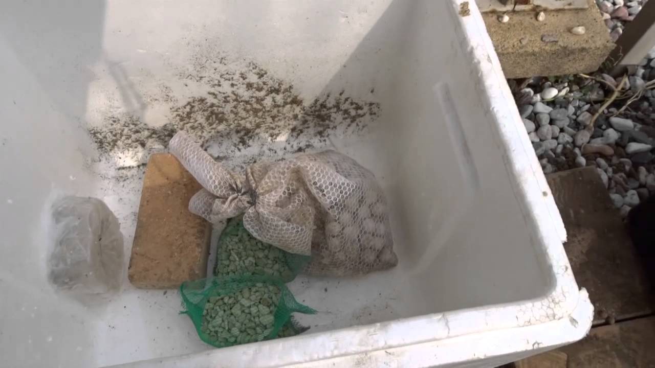 ブロックとレンガで作る簡単置くだけ水槽 Kino Tube Youtube