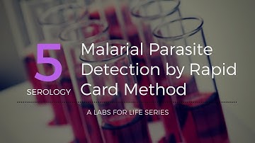 Malarial Parasite Detection by Rapid Card Method