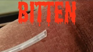 Jon Snow My Piranha Bites Through A Air Line Again