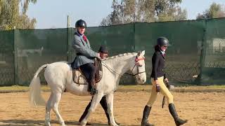 Sir Lancealot - Para Best Walk