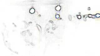 adictos al bidet - i wanna riot.wmv