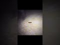 ナマニクモコ?