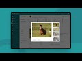 Portfolio Video | Horse Management Software | Coditas