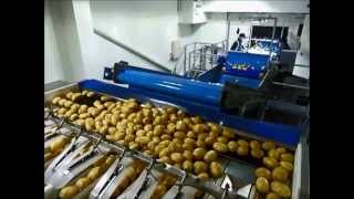 Haith Potato Washing And Packing Line