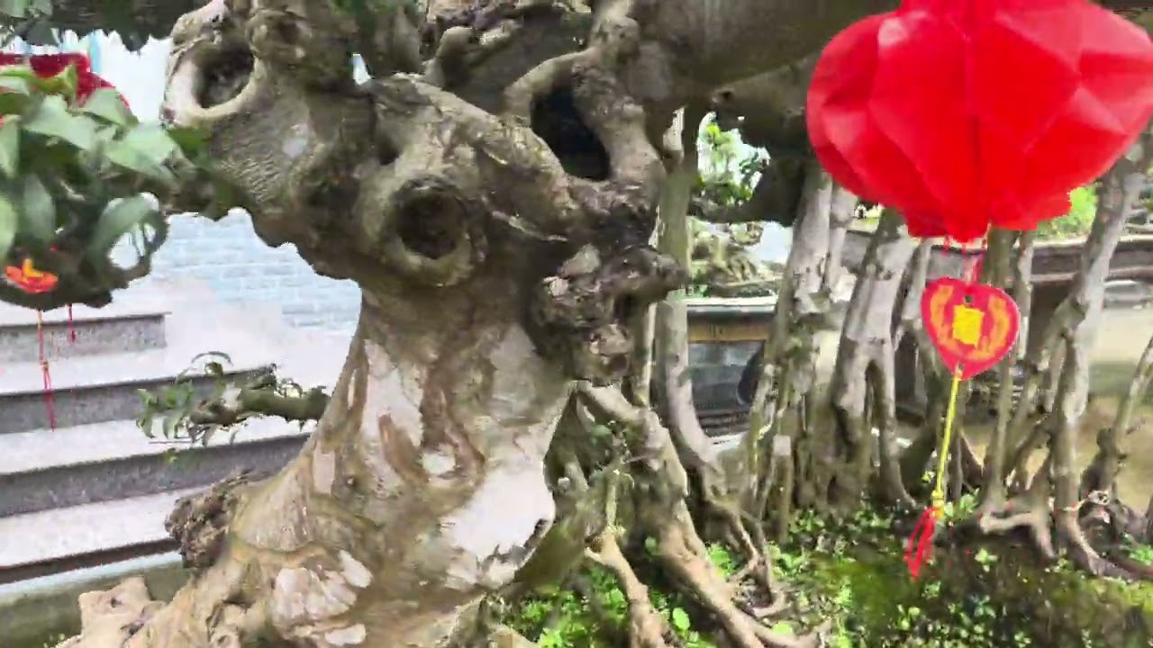 Long thăng(rồng bay lên) giá 0338662345