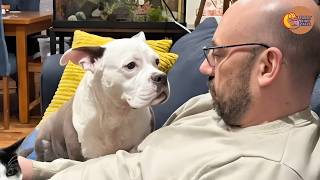 Our Rescue Dog Thought Her Forever Home Was Temporary
