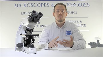 Accu-Scope 3000-LED Microscope - Ludesco Microscopes