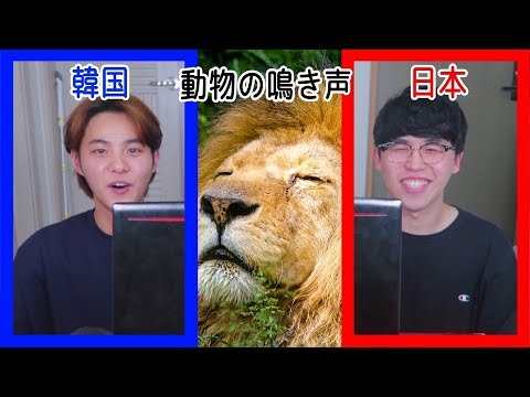 日本と韓国の動物の鳴き声の違いwww Youtube 日本と韓国の動物の鳴き声の違いwww Youtube