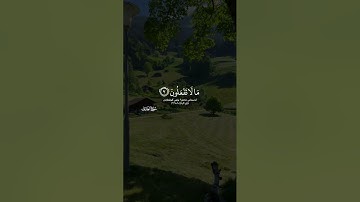 يا أيها الذين امنوا لم تقولون مالا تفعلون سورة الصف ايه ١ ٣ طارق محمد