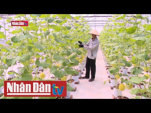 Video Mô hình trang trại thông minh - youtube