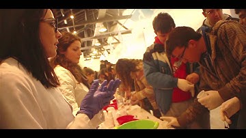 ASF2015 - Official After movie (GR)