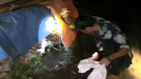 Bác 2 Chú Út Đi Bắt Cóc Về Nấu Nồi Cháo Giữa Đêm Khuya Thắm Tình Làng Quê.Góc Làng Quê #27