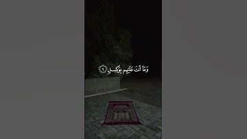 حم/سورة الشورى/القارئ أحمد النفيس #