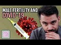 Male fertility, Covid-19 and Covid vaccination. Your questions answered