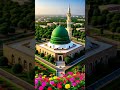 Muhammad Mustafa ay Bhar andr Bhar I