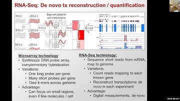 MIT CompBio Lecture 06 - Expression Analysis Clustering Classification (Fall 