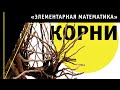 Корни | Элементарная математика