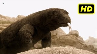 Criaturas Titánicas  (2009 - 2010)  -06-  Megalania, el Destripador Gigante  HDtv