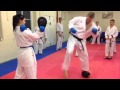 Matt price karate