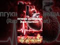 ඔබත් Energy Drinks බොනවාද? එහෙනම් මේක අනිවාර්යයෙන් බලන්න! ⚠️