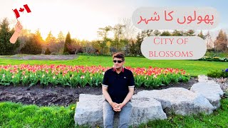 City Of Blossoms - Toronto Canada