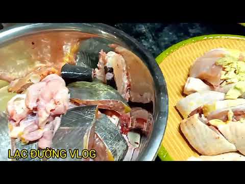 Video CÁ NHEO NƯỚNG VÀ OM CHUỐI ĐẬU MÓN NGON TIẾP KHÁCH ĐẶC... - youtube