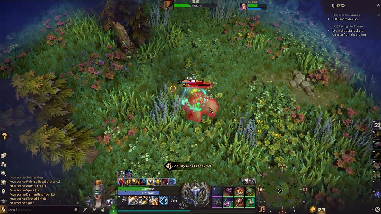 Corepunk: Defender vs. Bear: Solo