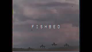 ｆｉｓｈｂｅｄ