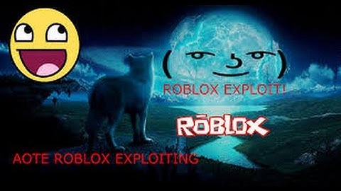 Roblox Exploit : Infinite Jump.exe
