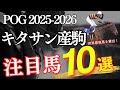 【POG】POG2025-2026「新しいイクイノックスを探せ!キタサンブラック産駒注目馬10選」【競馬】