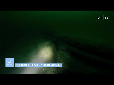 Video: Kur jūros dugne yra kalkingų išskyrų?