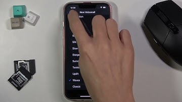 How to Change Voicemail Notification Sound in iPhone 13?