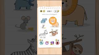 Ultimate Brain Test Level 1 Net Worth