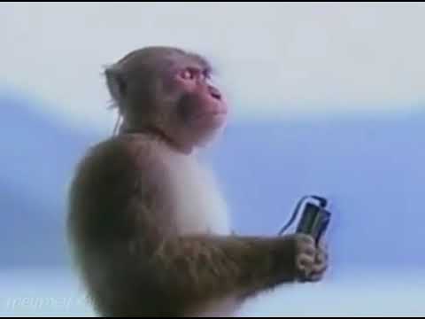 Monke listens to Kiss the Ring