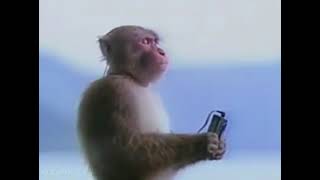 Monke Listens To Kiss The Ring