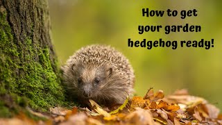 Get your garden hedgehogready!