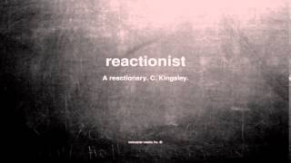 What Does Reactionist Mean