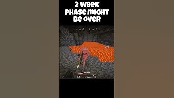 I Think I Just Ended Our 2 Week Phase #shorts #minecraft