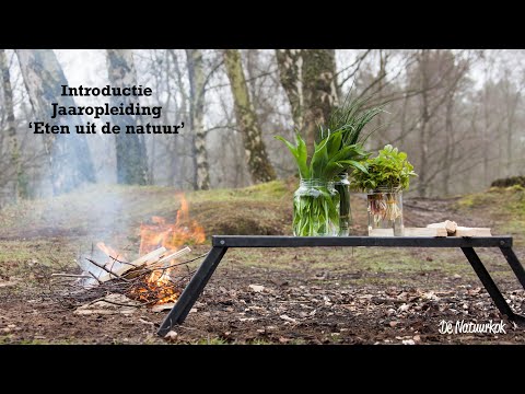 Video: Dit Zijn De Voordelen Van Alleen Zijn In De Natuur