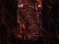 Brussels cathedral celebrates Christmas with light show