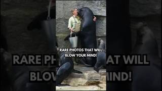 Unbelievable Photos Youll Regret Not Seeing 519