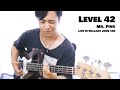 Level 42 「Mr. Pink」Bass cover by Takafumi Fukuchi