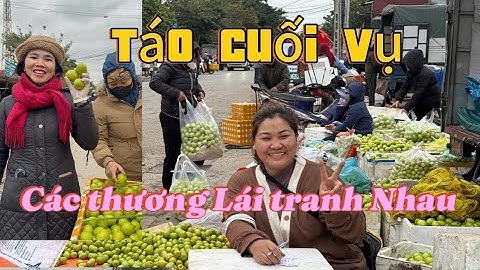 Cập Nhật Giá Táo Sáng Sớm Hôm Nay Tại Biển Động Lục Ngạn  Người Mua Tranh Nhau...